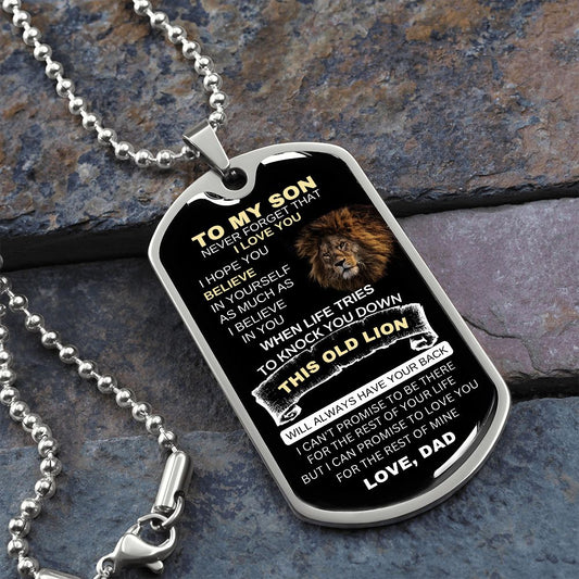 THIS OLD LION VER2